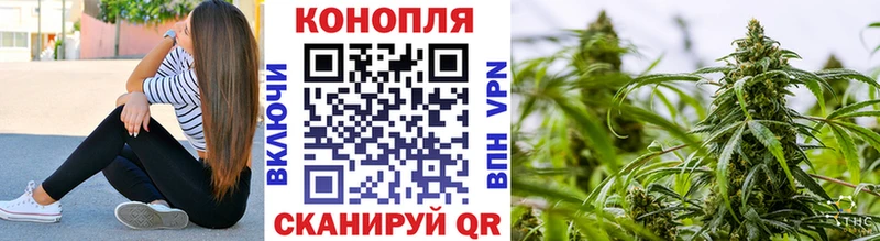 Бошки марихуана планчик  блэк спрут онион  Валдай 